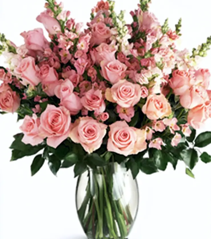 White and Pink Roses