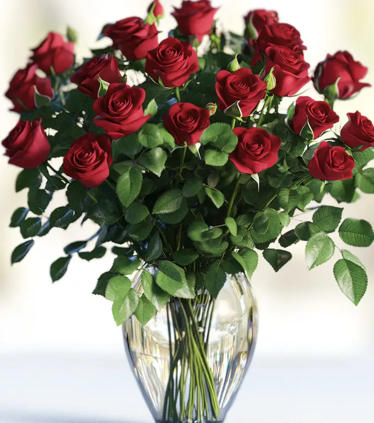 Two dozen fresh red roses