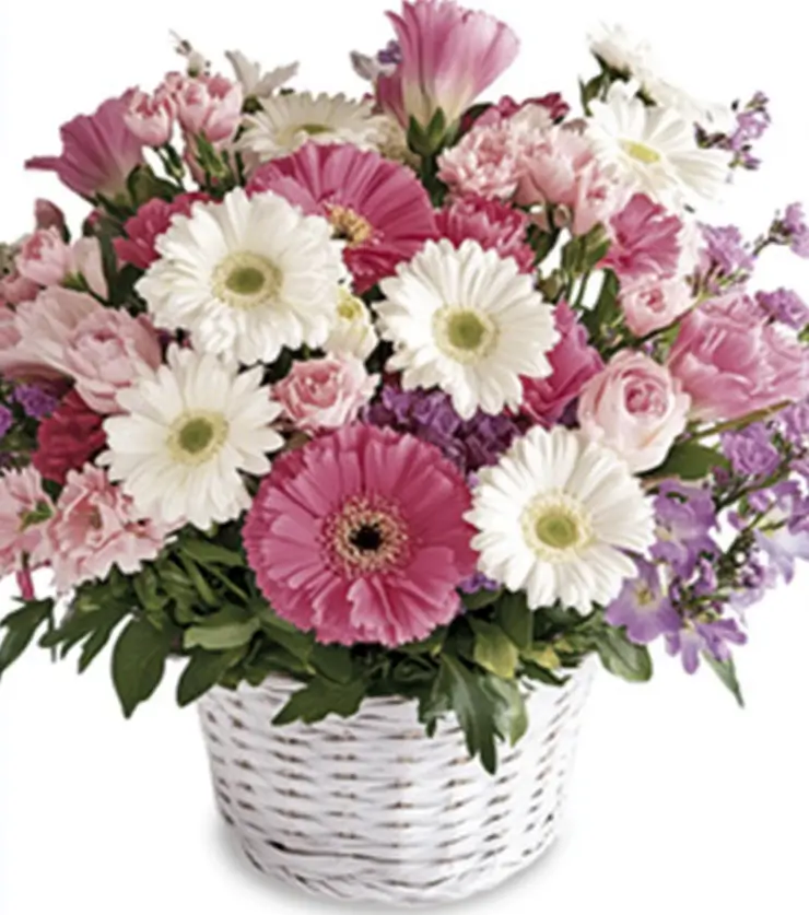 Flowering Basket