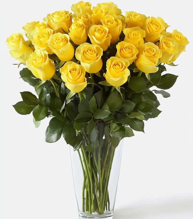 Two Dozen Yellow Roses
