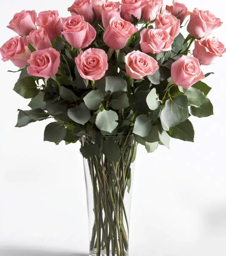 Lavish Luxuries Pink