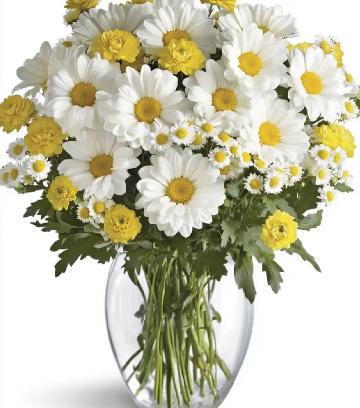 A little piece of heaven