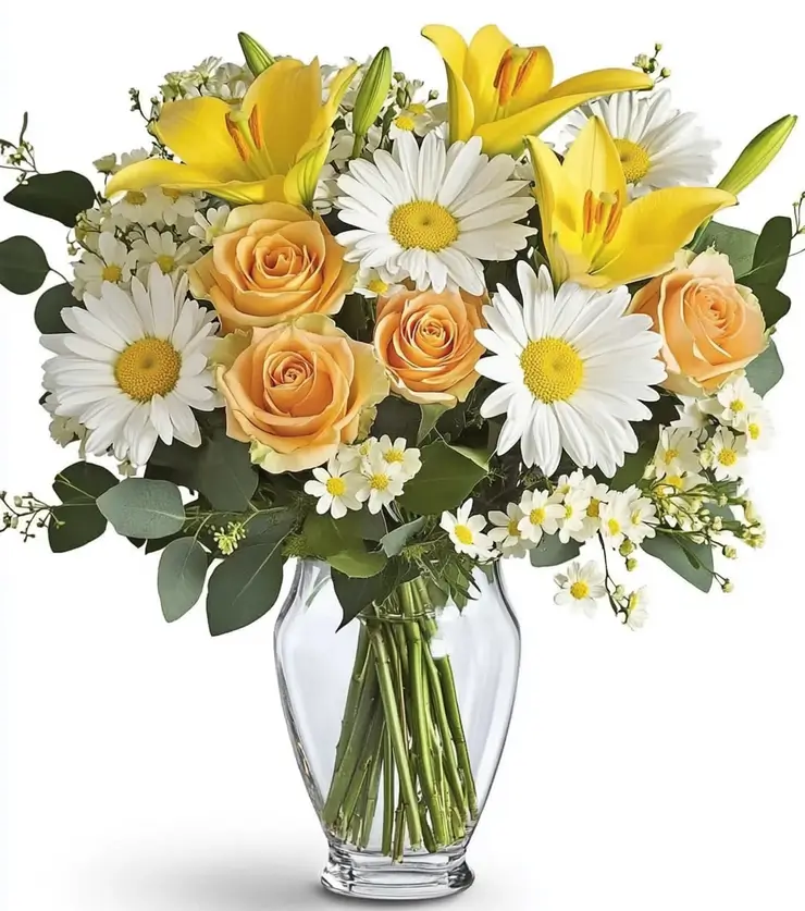 Bask in the Morning Sun