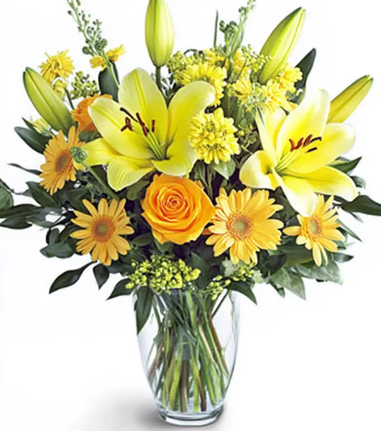 Colorful Expressions