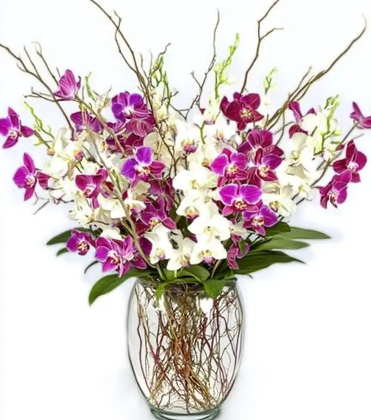 Tropical Birthday Flowers