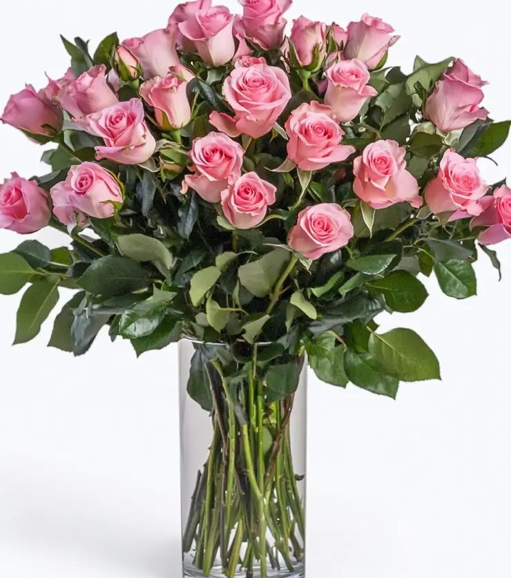 Two Dozen Pink Roses