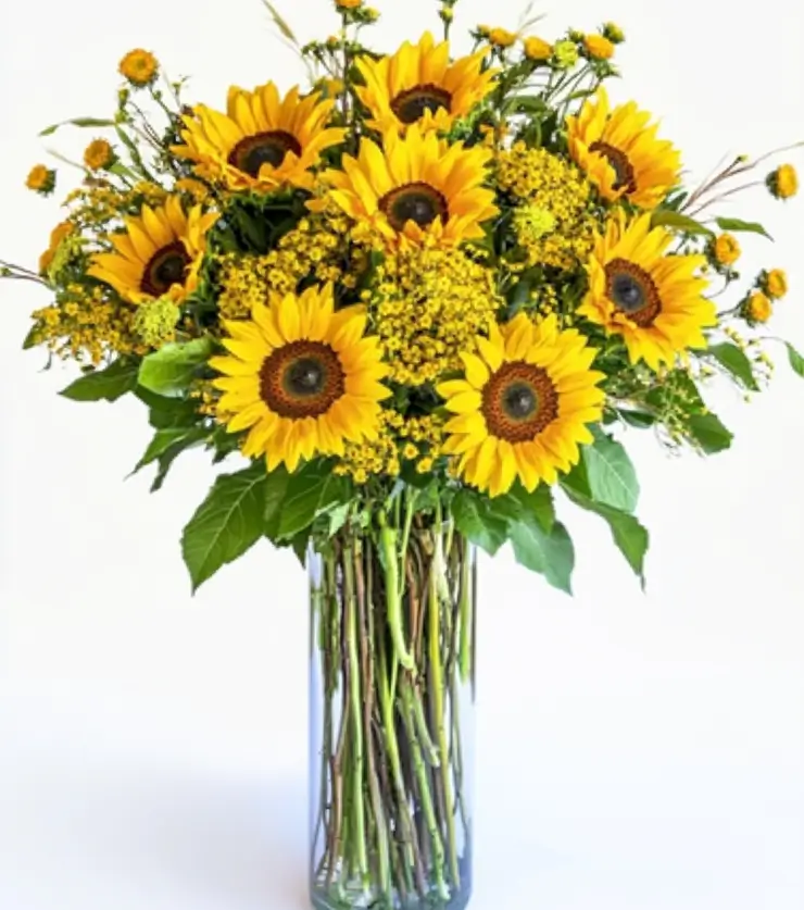 Exquisite Sunflowers