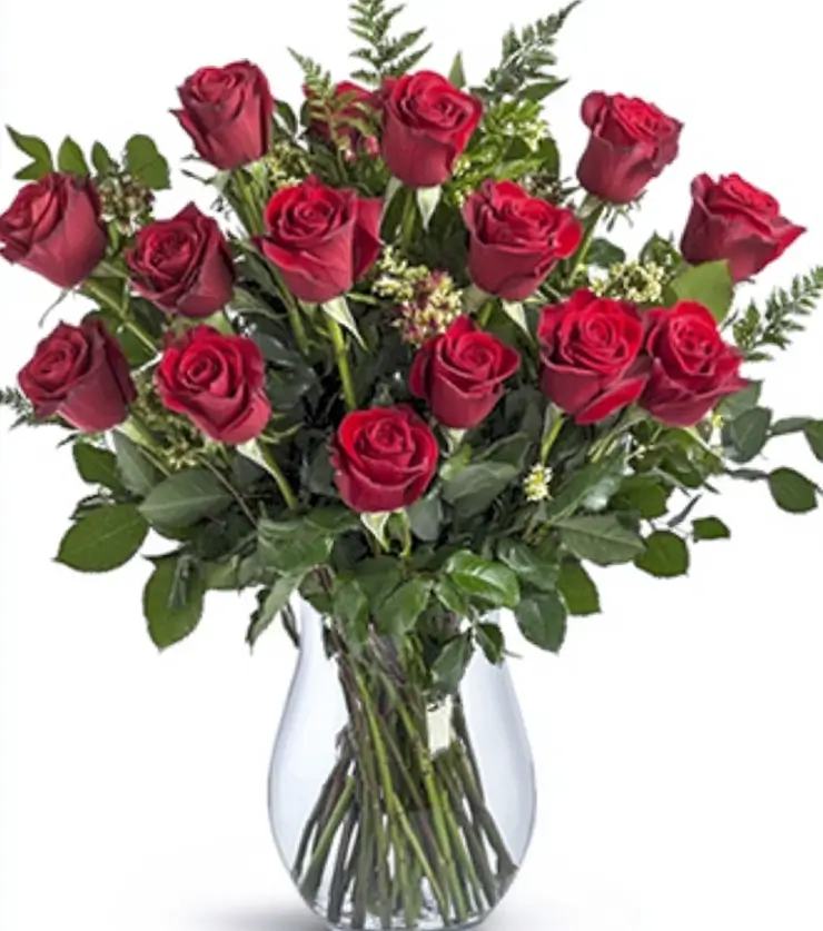 Twenty-Four Fabulous Red Roses
