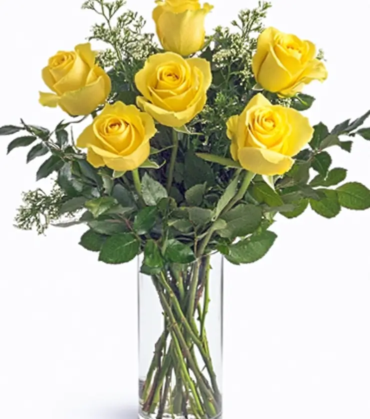 6 Yellow Roses