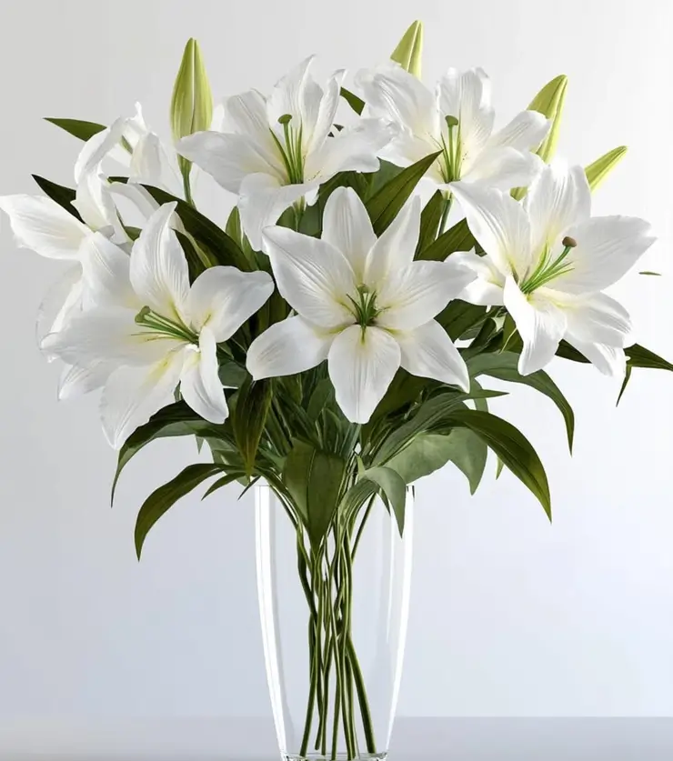 Precious Lilies