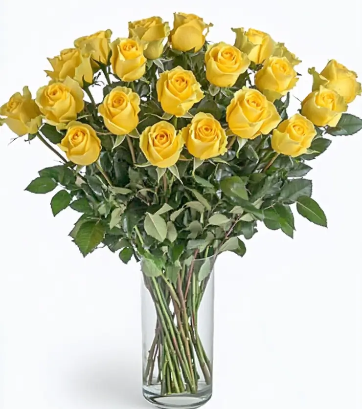 2 Dozen Yellow Roses