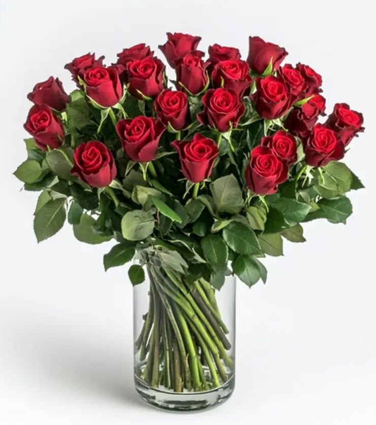 Regal romantic red roses